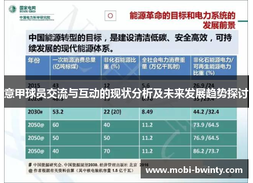 意甲球员交流与互动的现状分析及未来发展趋势探讨