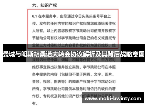 曼城与朗斯胡桑诺夫转会协议解析及其背后战略意图