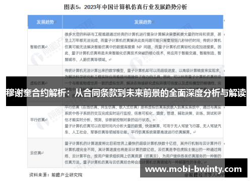穆谢奎合约解析：从合同条款到未来前景的全面深度分析与解读