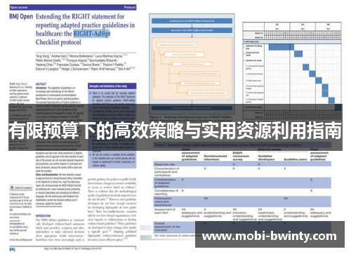 有限预算下的高效策略与实用资源利用指南