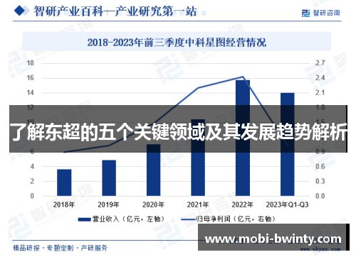 了解东超的五个关键领域及其发展趋势解析